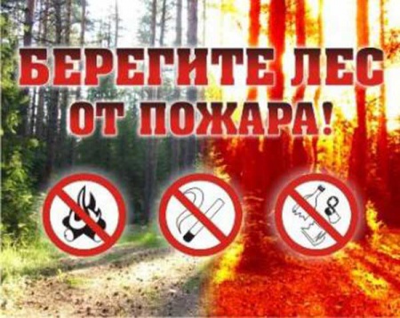 Россельхознадзор запрещает прикамцам сжигать траву