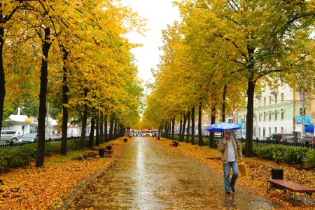 В Перми ожидаются дождливые выходные