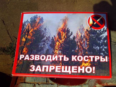 С 25 апреля в Перми вводится особый противопожарный режим